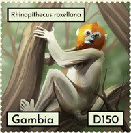 Stamp, Rhinopithecus roxellana, Gambia,  , Animals (Fauna), Mammals, Monkeys