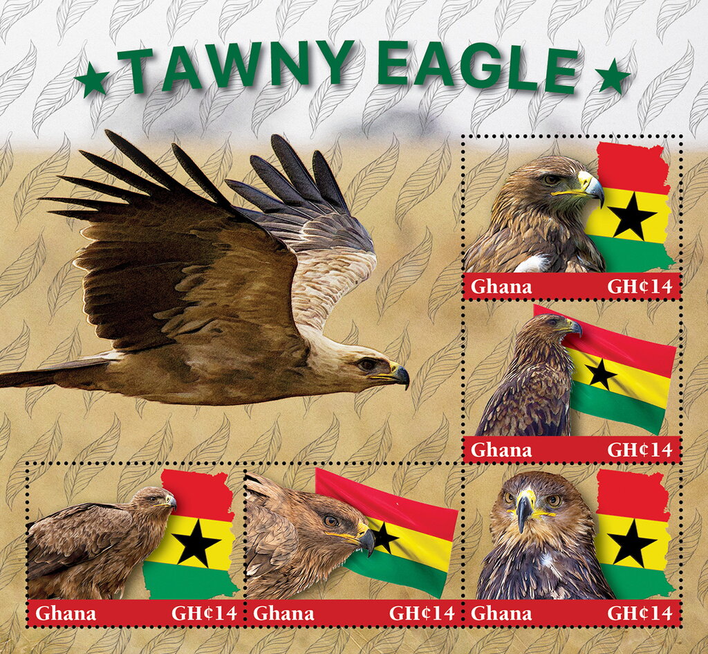 Tawny Eagle