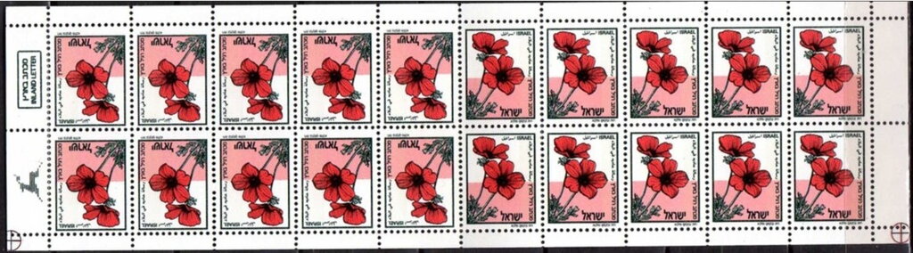 Booklet, Anemone coronarium, Israel,  , Flowers, Plants (Flora)
