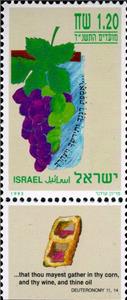Stamp with Collectible Margin, Grapes, Israel,  , Fruits, Grapes, Plants (Flora)