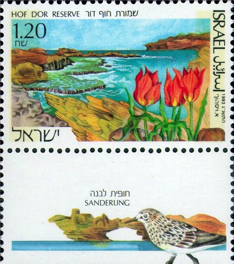 Hof Dor Nature Reserve