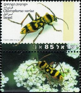 Stamp with Collectible Margin, Longhorn Beetle (Chlorophorus varius), Israel,  , Animals (Fauna), Beetles, Insects