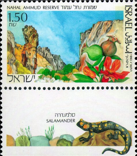 Nahal Ammud Nature Reserve