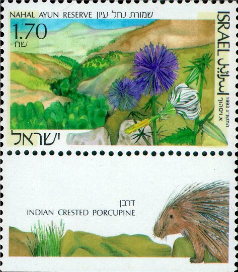 Nahal Ayun Nature Reserve