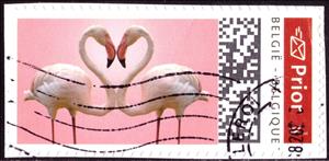 Stamp, Flamingo, Personalized and Private Mail Stamps,  , Animals (Fauna), Birds
