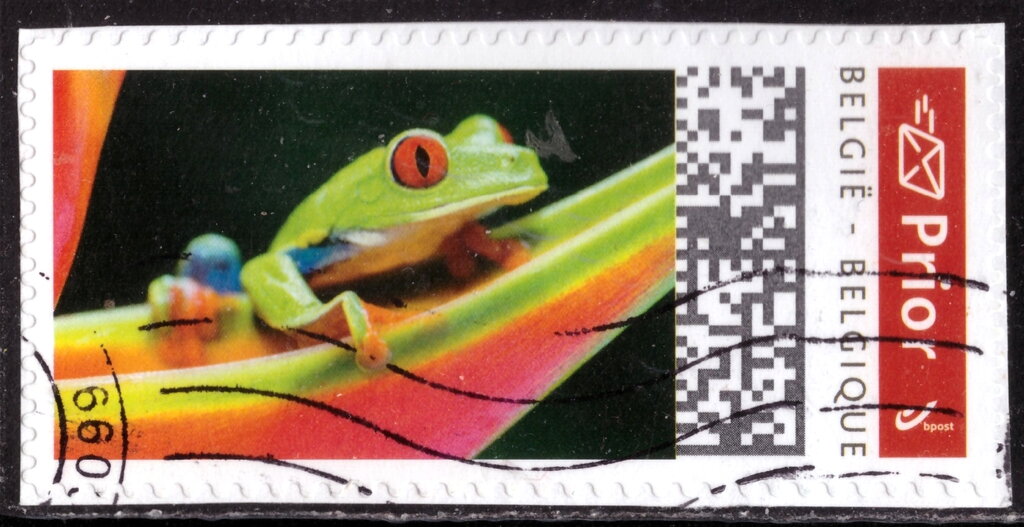 Frog