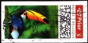 Stamp, Toucan, Personalized and Private Mail Stamps,  , Animals (Fauna), Birds