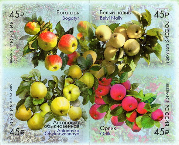 Flora of Russia - Apple Varieties