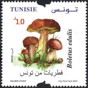 Stamp, Boletus edulis, Tunisia,  , Mushrooms