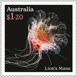 Stamp, Lion's Mane (Cyanea annaskala), Australia,  , Animals (Fauna), Jellyfish, Sea Life