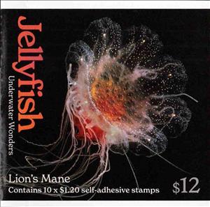 Booklet, Lion's Mane (Cyanea annaskala), Australia,  , Animals (Fauna), Jellyfish, Sea Life