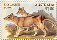 Stamp, Thylacine (Thylacinus cynocephalus), Australia,  , Animals (Fauna), Dogs, Mammals