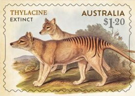 Stamp, Thylacine (Thylacinus cynocephalus), Australia,  , Animals (Fauna), Dogs, Mammals
