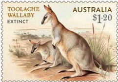 Stamp, Toolache Wallaby (Notamacropus greyi), Australia,  , Animals (Fauna), Kangaroos, Mammals, Marsupials
