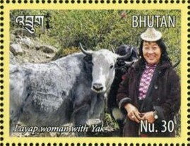 Lavap Woman with Domestic Yak