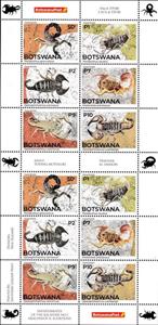 Full Pane, Scorpions, Botswana,  , Animals (Fauna), Scorpions