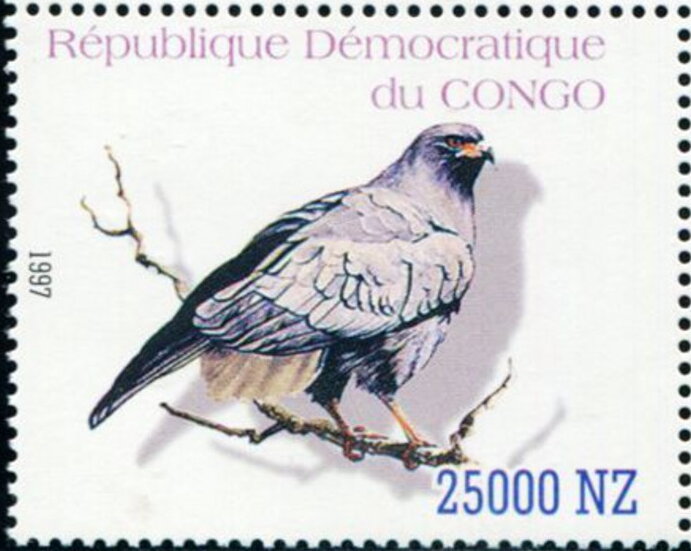 Birds