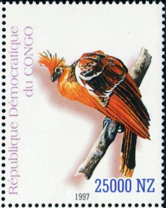 Birds