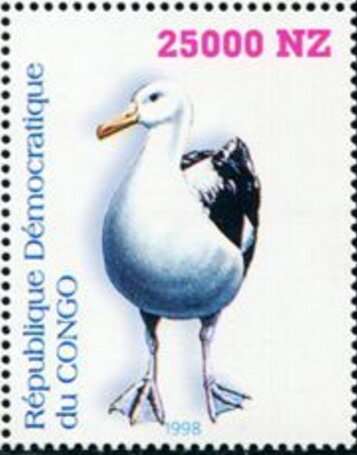 Birds Albatross
