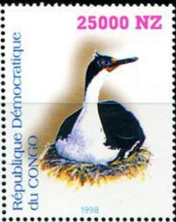 Birds Imperial Shag