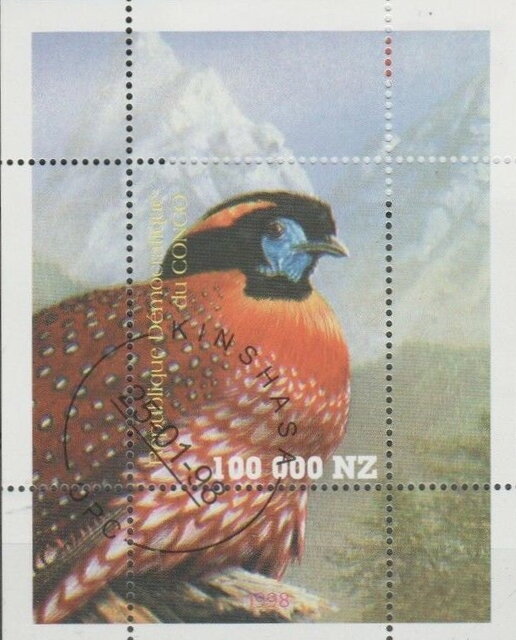Birds Temminck's Tragopan