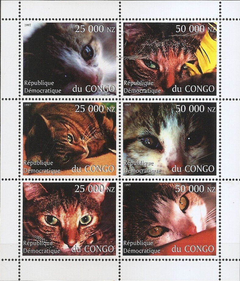 Cats