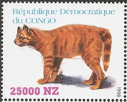 Cats