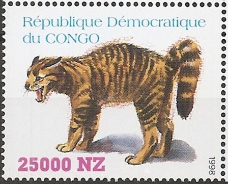 Cats
