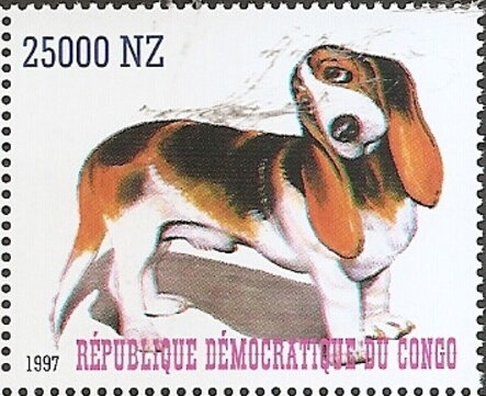 Dogs