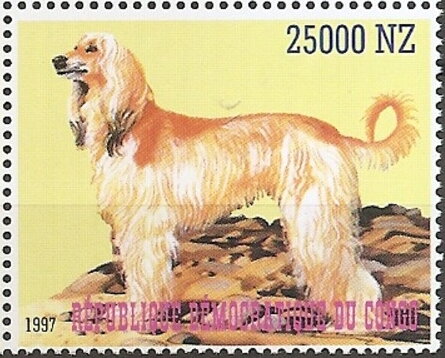 Dogs