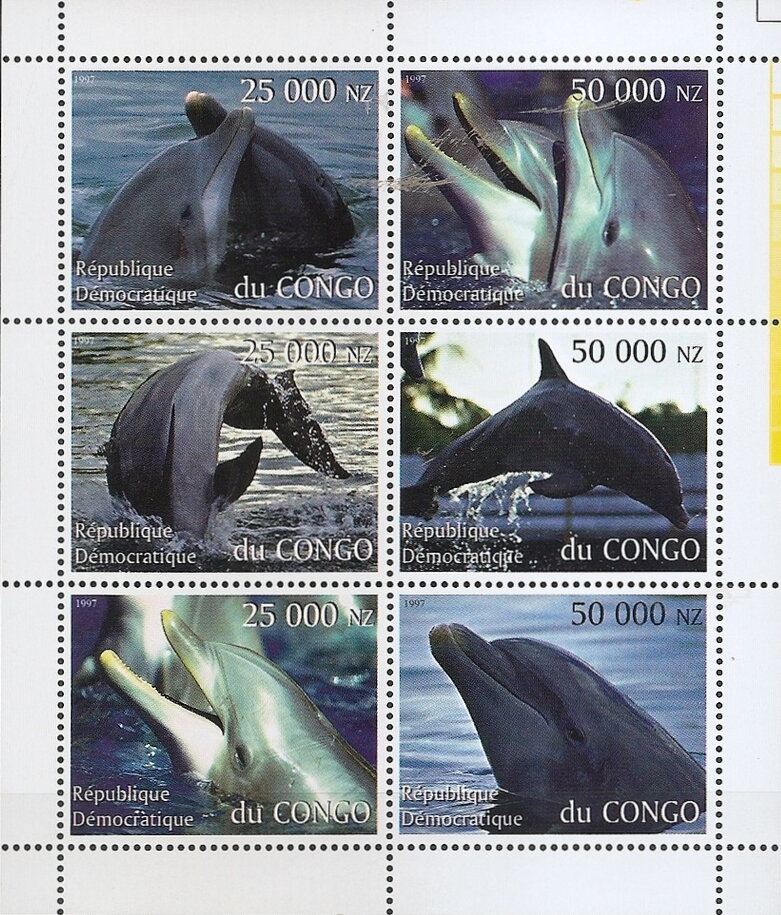 Dolphins