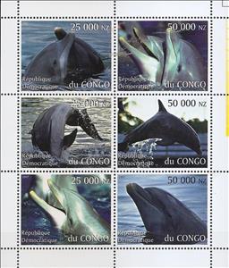 Mini Sheet, Dolphins, Congo, Democratic Republic (Kinshasa),  , Dolphins, Sea (Marine) Mammals