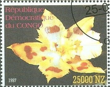 Stamp, Flowers Orchids, Congo, Democratic Republic (Kinshasa),  , Flowers, Orchids