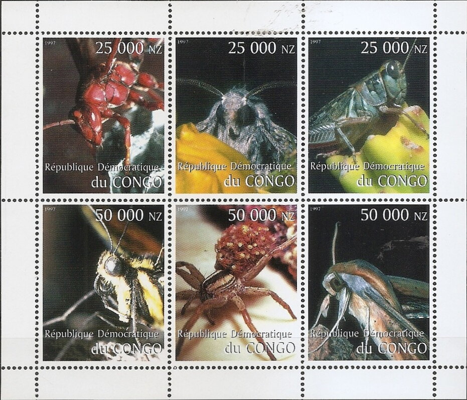 Insects