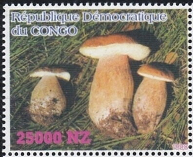 Mushrooms