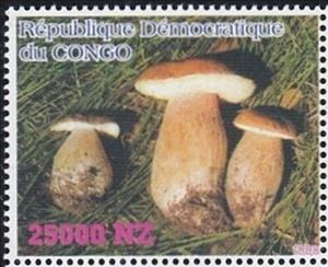 Stamp, Mushrooms, Congo, Democratic Republic (Kinshasa),  , Mushrooms