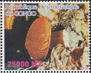 Stamp, Mushrooms, Congo, Democratic Republic (Kinshasa),  , Mushrooms