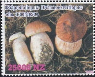 Mushrooms