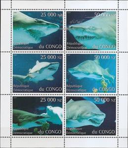 Mini Sheet, Sharks, Congo, Democratic Republic (Kinshasa),  , Sea Life, Sharks