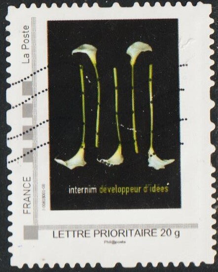 Internim Devloppeur d'idees