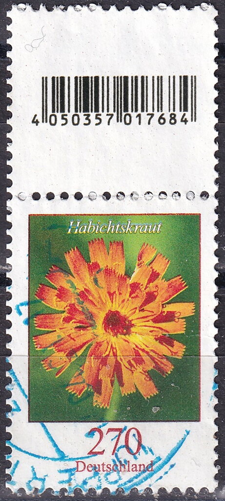 Hawkweed (Pilosella aurantiaca)