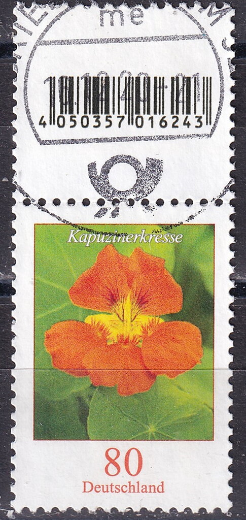 Nasturtium (Tropaeolum majus)