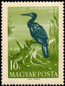 Stamp, Great Cormorant (Phalacrocorax carbo), Hungary,  , Animals (Fauna), Birds