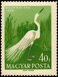 Stamp, Great Egret (Ardea alba), Hungary,  , Animals (Fauna), Birds, Herons