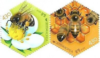 Honey Bees in Korea
