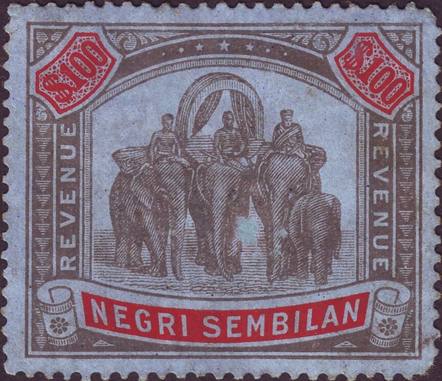 Asian Elephant (Elephas maximus) with Howdah