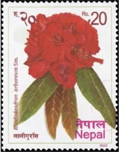 Stamp, Rhododendron arboreum, Nepal,  , Flowers, Plants (Flora)