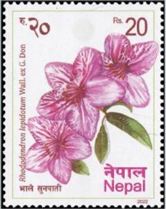 Stamp, Rhododendron lepidotum, Nepal,  , Flowers, Plants (Flora)