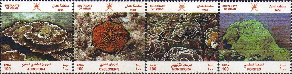 Corals