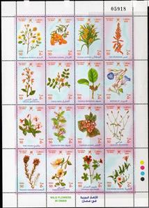 Mini Sheet, Wild Flowers in Oman, Oman,  , Flowers, Plants (Flora)